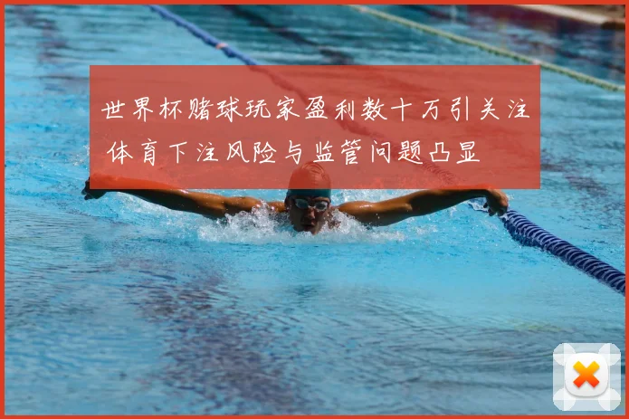 世界杯赌球玩家盈利数十万引关注 体育下注风险与监管问题凸显