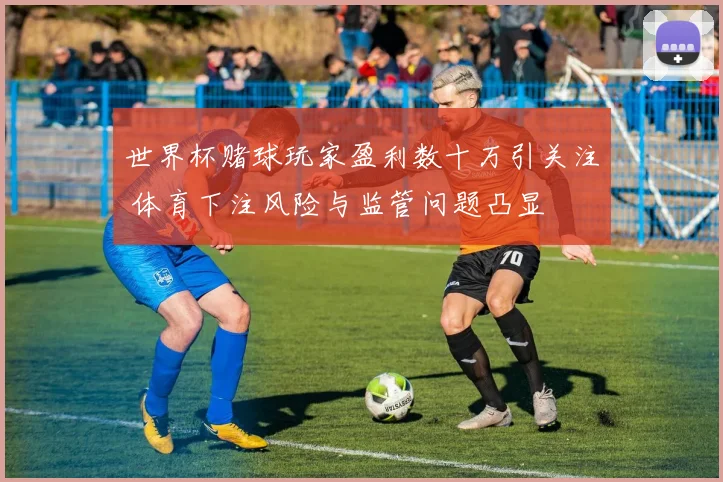 世界杯赌球玩家盈利数十万引关注 体育下注风险与监管问题凸显