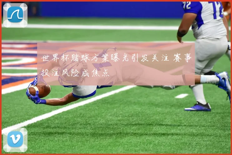 世界杯赌球方案曝光引发关注 赛事投注风险成焦点