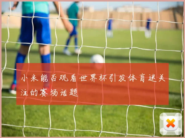 小米能否观看世界杯引发体育迷关注的赛场话题