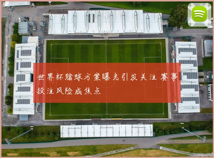 世界杯赌球方案曝光引发关注 赛事投注风险成焦点